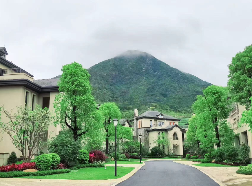 1770714652360067.png image.png