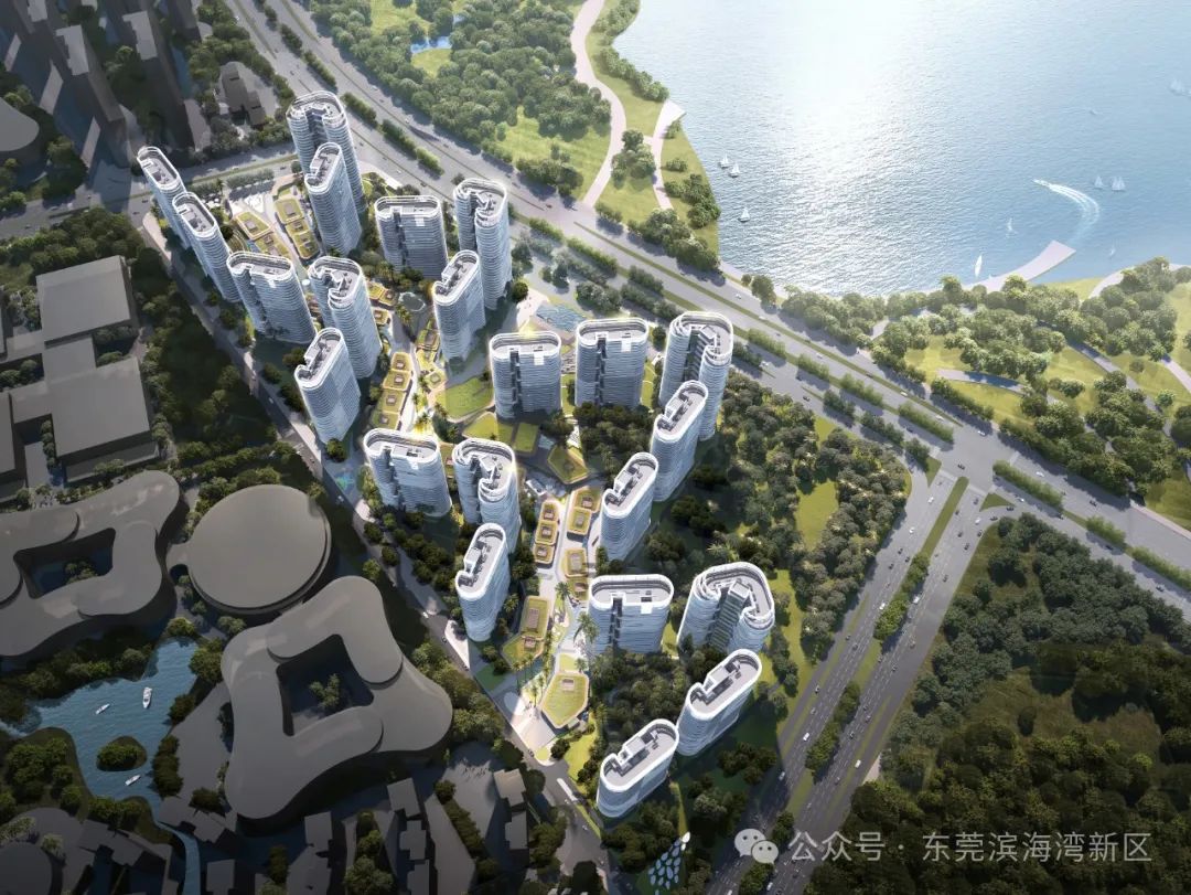 4100多套，东莞这个人才房项目全面封顶！_东莞阳光网