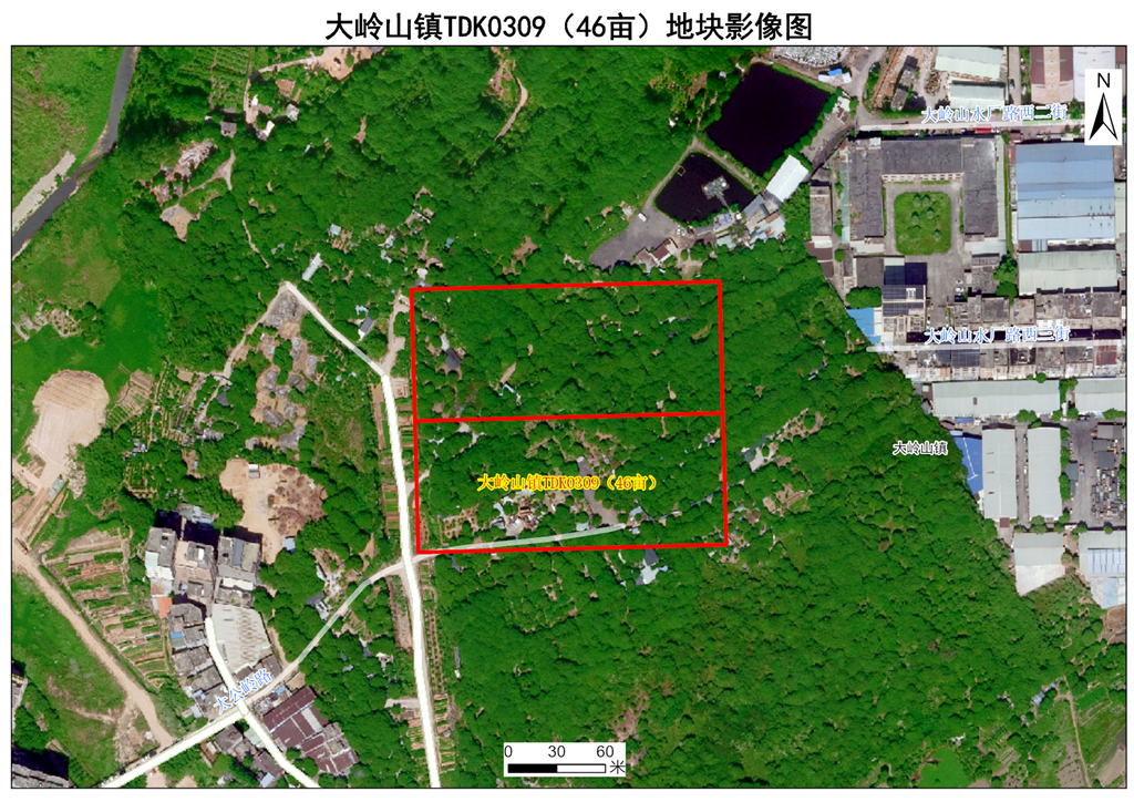 1772202626327730.png image.png